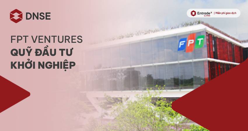 Quỹ Đầu Tư Mạo Hiểm (Venture Capital)